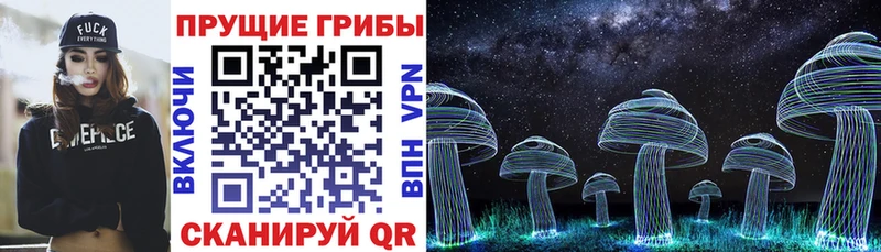 Галлюциногенные грибы Magic Shrooms Вичуга